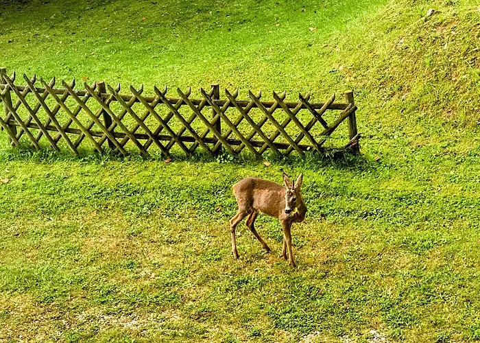 Art In Waldfrieden