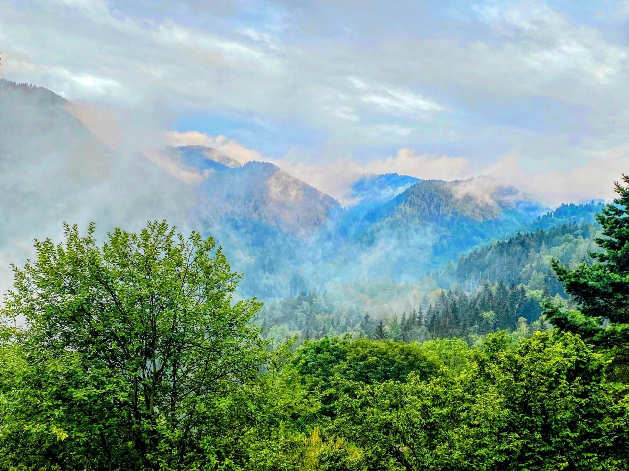 Art In Waldfrieden *